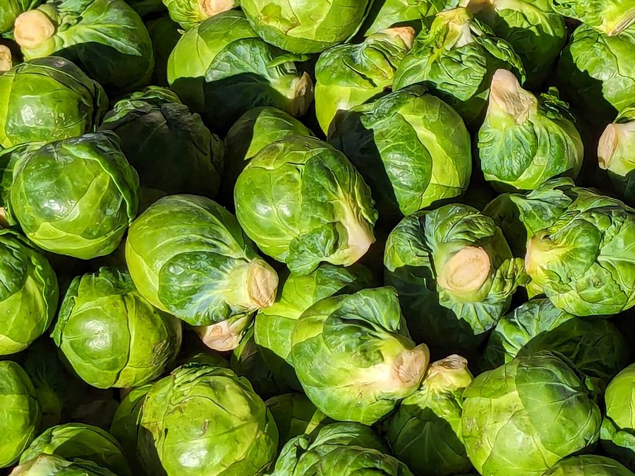 Brussels sprouts prepared for a baby