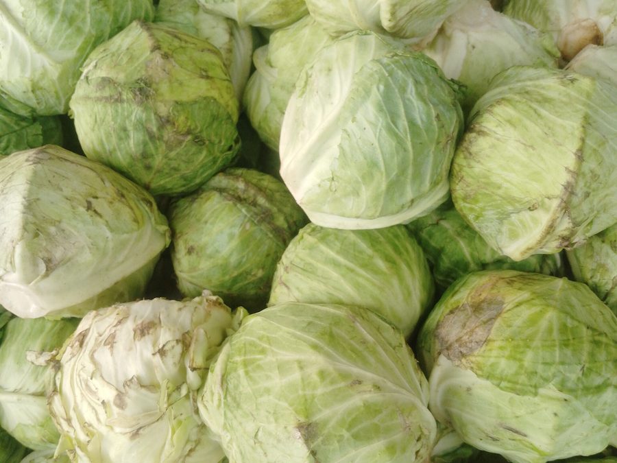Cabbage prepared for a baby