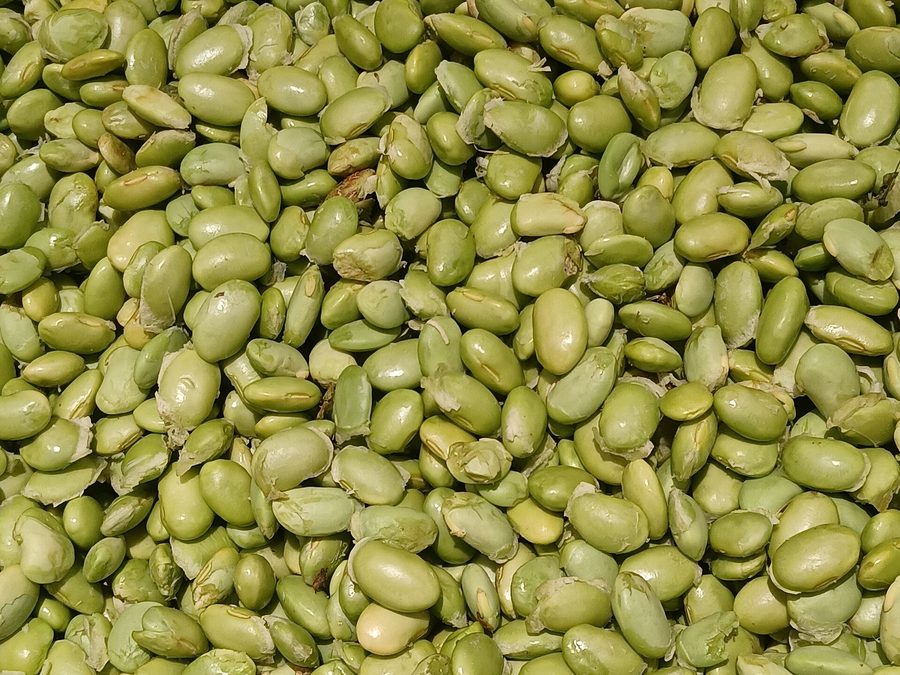 Edamame prepared for a baby