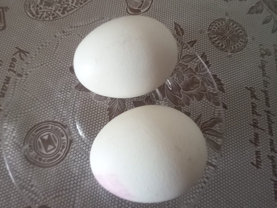 Egg prepared for a baby