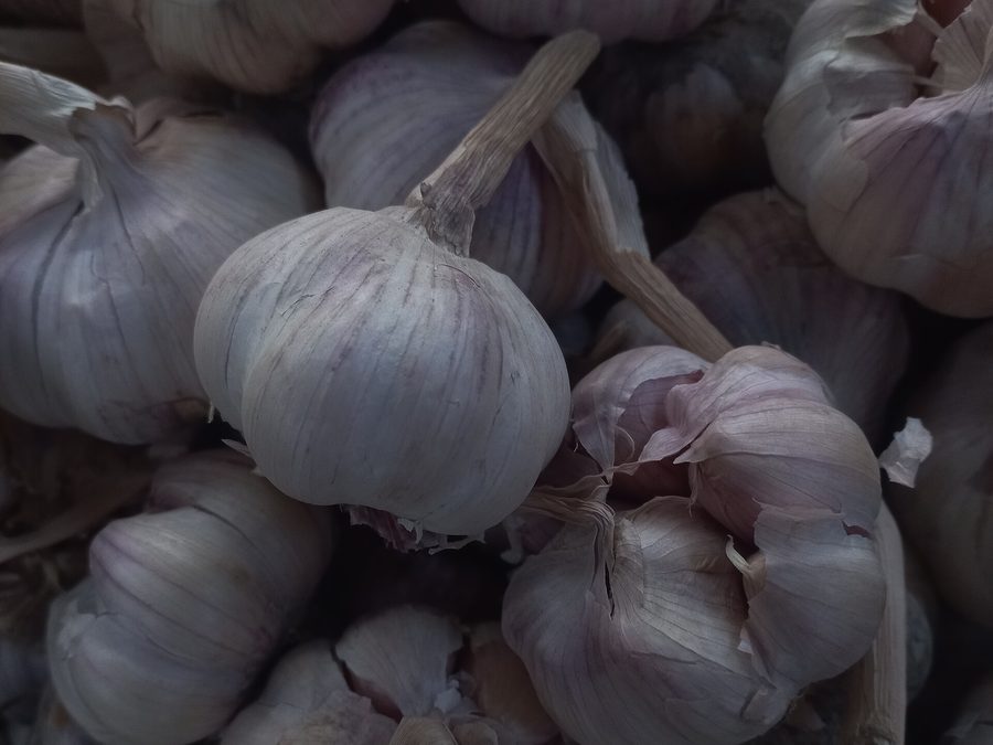 Garlic prepared for a baby