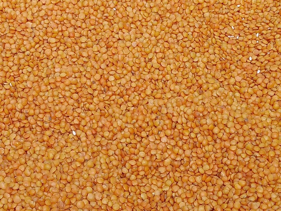 Lentils prepared for a baby