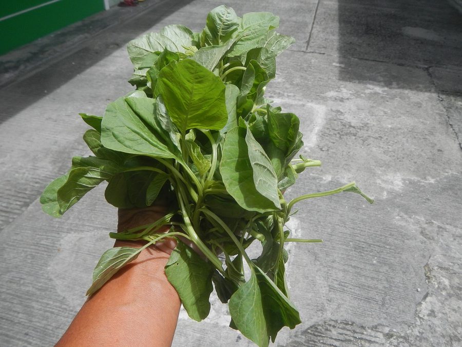 Spinach prepared for a baby
