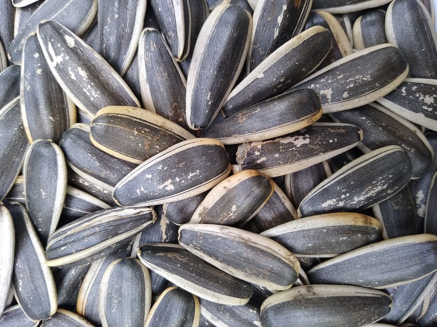 Sunflower seed butter prepared for a baby