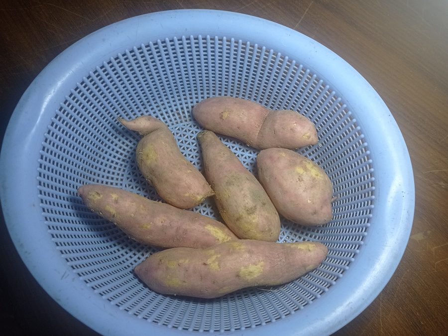 Sweet potato prepared for a baby