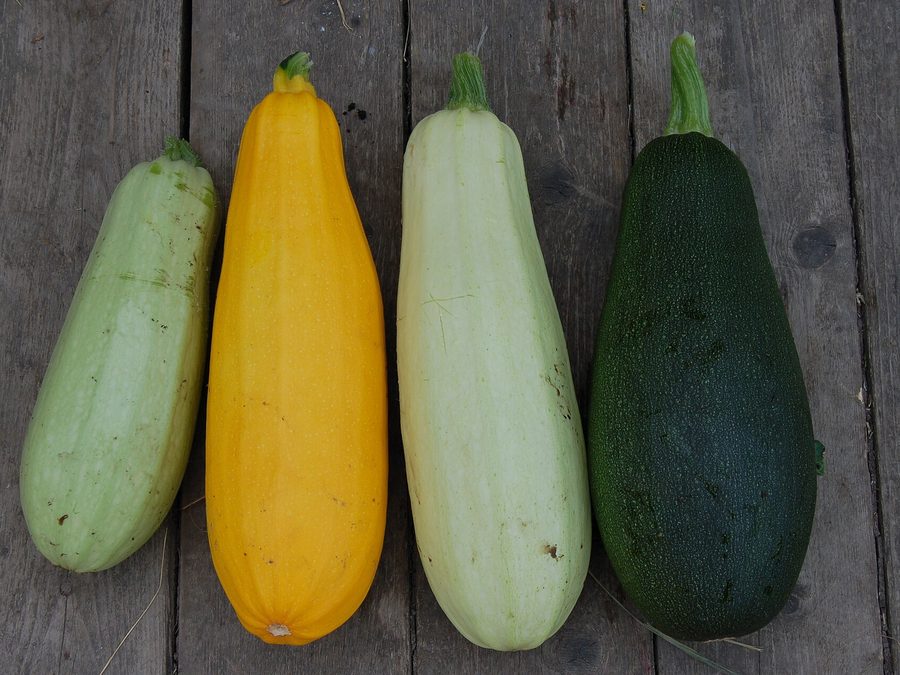 Zucchini prepared for a baby